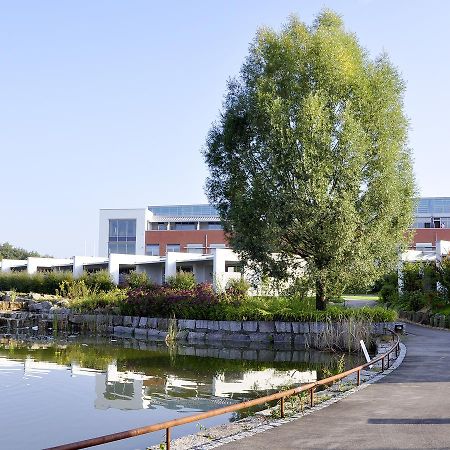 Seminarhotel In Der Manfred-Sauer-Stiftung Lobbach Екстер'єр фото